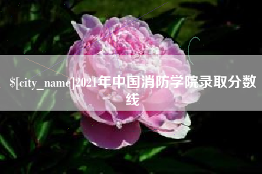 昌吉2021年中国消防学院录取分数线