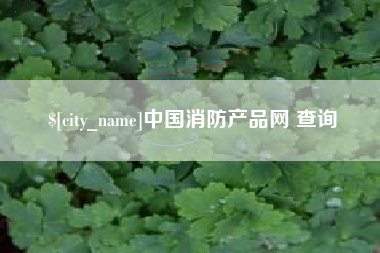 昌吉中国消防产品网 查询