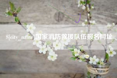 昌吉国家消防救援队伍报名网址