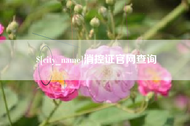 昌吉消控证官网查询