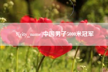 昌吉中国男子5000米冠军