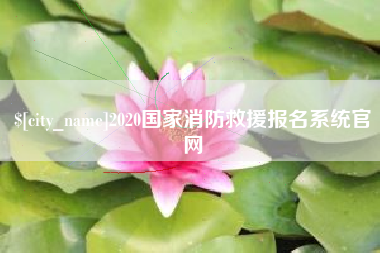 昌吉2020国家消防救援报名系统官网
