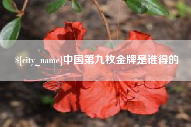 昌吉中国第九枚金牌是谁得的