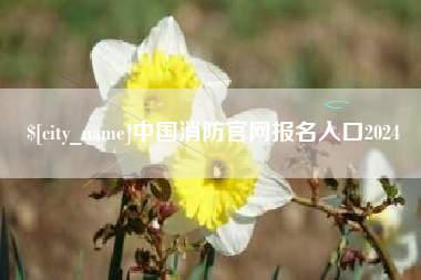 昌吉中国消防官网报名入口2024