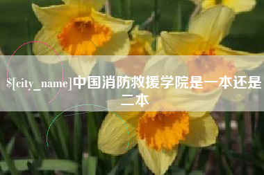 昌吉中国消防救援学院是一本还是二本
