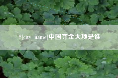 昌吉中国夺金大项是谁