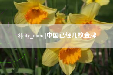 昌吉中国已经几枚金牌