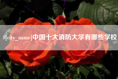昌吉中国十大消防大学有哪些学校