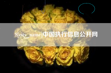 昌吉中国执行信息公开网