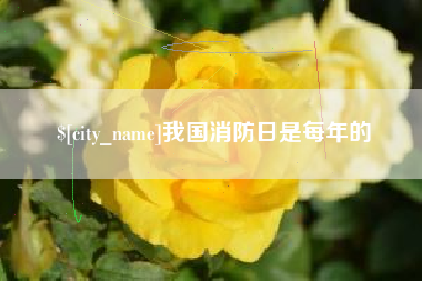 昌吉我国消防日是每年的