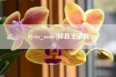 昌吉邱县王子磊