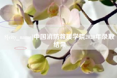 昌吉中国消防救援学院2020年录取结果