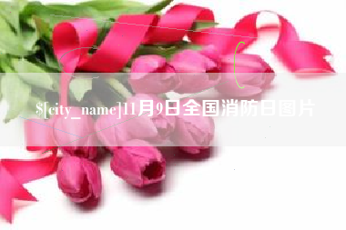 昌吉11月9日全国消防日图片