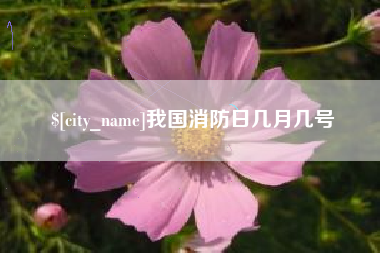 昌吉我国消防日几月几号