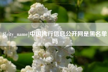 昌吉中国执行信息公开网是黑名单吗