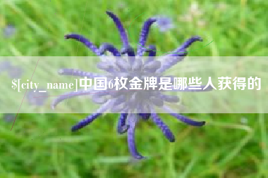 昌吉中国6枚金牌是哪些人获得的