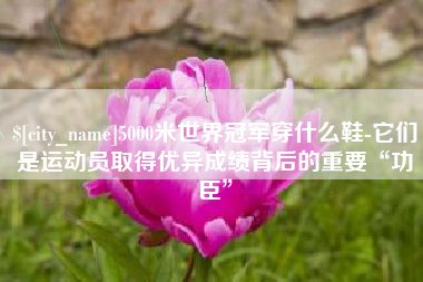 昌吉5000米世界冠军穿什么鞋-它们是运动员取得优异成绩背后的重要“功臣”