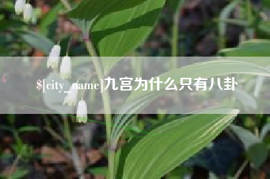 昌吉九宫为什么只有八卦