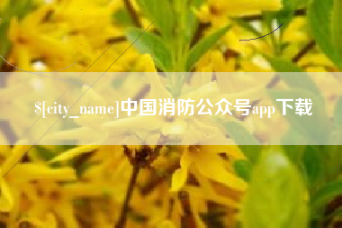 昌吉中国消防公众号app下载