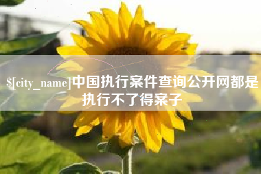 昌吉中国执行案件查询公开网都是执行不了得案子