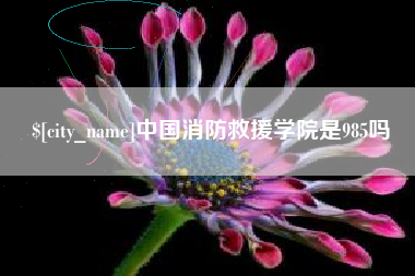 昌吉中国消防救援学院是985吗