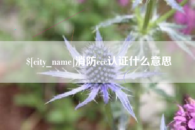 昌吉消防ccc认证什么意思