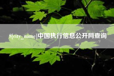 昌吉中国执行信息公开网查询