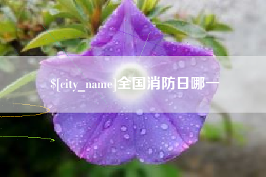 昌吉全国消防日哪一