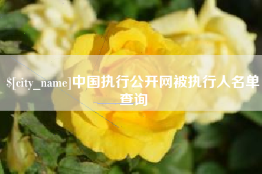 昌吉中国执行公开网被执行人名单查询