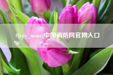 昌吉中国消防网官网入口