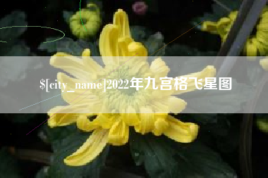 昌吉2022年九宫格飞星图