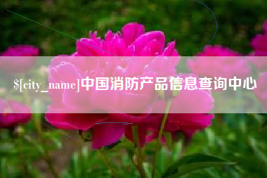 昌吉中国消防产品信息查询中心