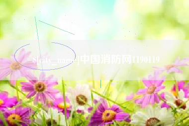 昌吉中国消防网1190119