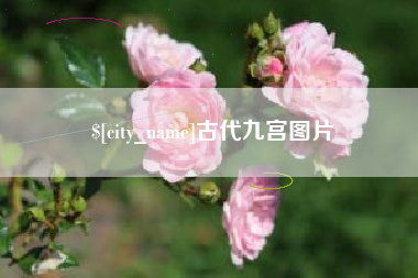 昌吉古代九宫图片