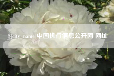 昌吉中国执行信息公开网 网址