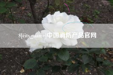 昌吉中国消防产品官网