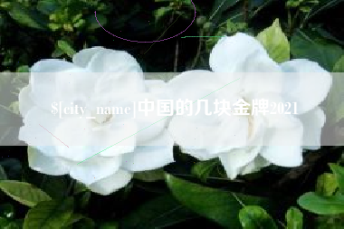 昌吉中国的几块金牌2021