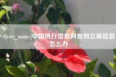 昌吉中国执行信息网查到立案信息怎么办