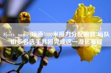 昌吉短道5000米接力分配圈数-每队由多名选手共同完成这一漫长赛程
