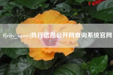 昌吉执行信息公开网查询系统官网