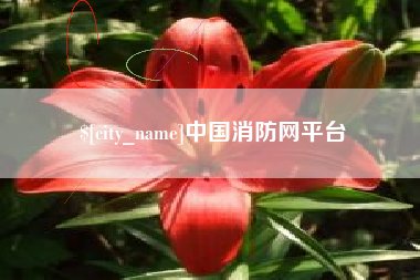 昌吉中国消防网平台
