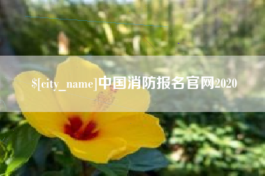 昌吉中国消防报名官网2020