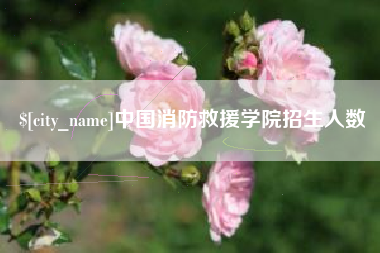 昌吉中国消防救援学院招生人数