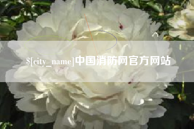 昌吉中国消防网官方网站