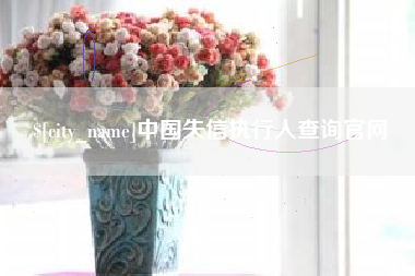 昌吉中国失信执行人查询官网