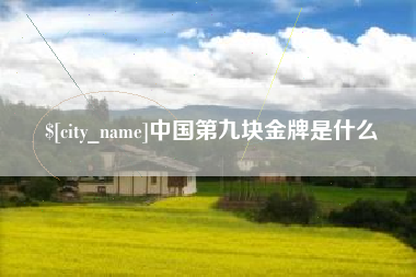 昌吉中国第九块金牌是什么