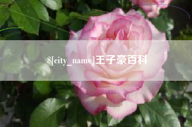 昌吉王子豪百科