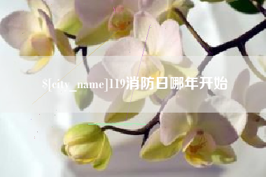 昌吉119消防日哪年开始