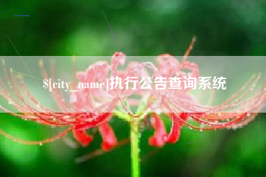 昌吉执行公告查询系统