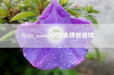 昌吉中国金牌都是啥